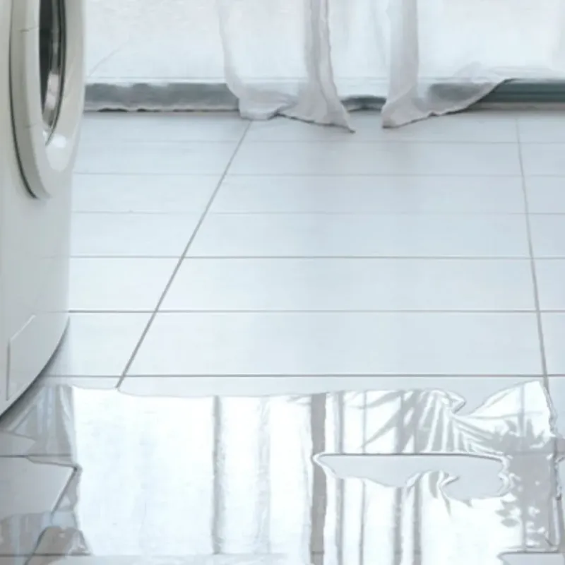 Appliance Leak Cleanup in Veedersburg, IN