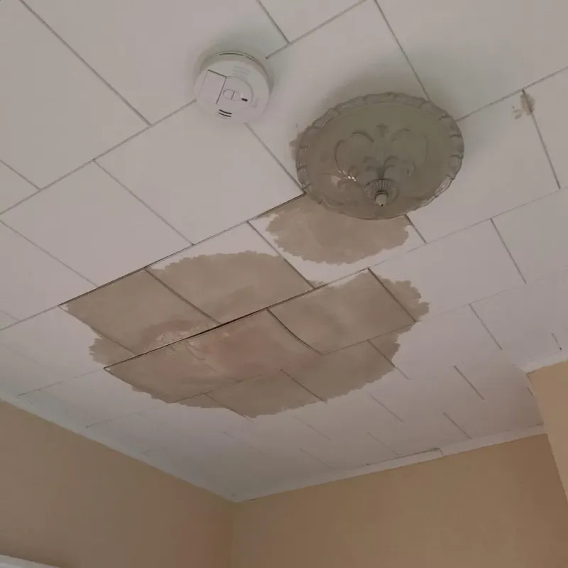 Ceiling Water Damage Repair in Veedersburg, IN