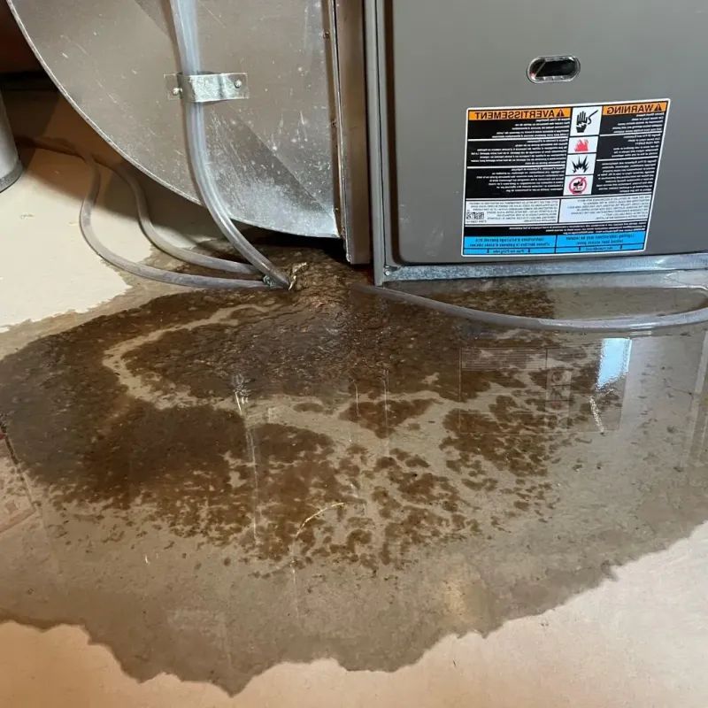 Pipe Burst and Leak Restoration in Veedersburg, IN