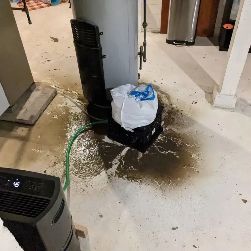 Sewage Backup Cleanup Service in Veedersburg, IN
